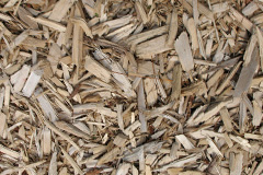 biomass boilers Cloford